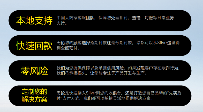 欧洲跨境电商市场 迎来BNPL出海新玩家丨Silvrr