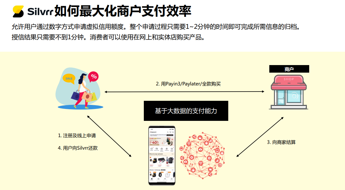 欧洲跨境电商市场 迎来BNPL出海新玩家丨Silvrr