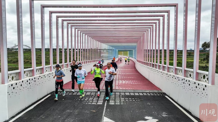 （转载）天府黄、锦官橙、锦城蓝……成都85座桥梁换“新衣”