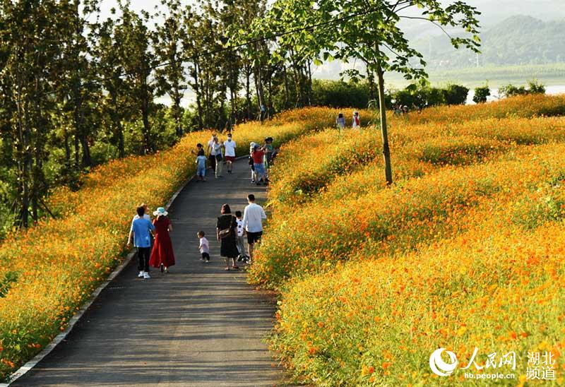 汉江生态旅游联体公园建成