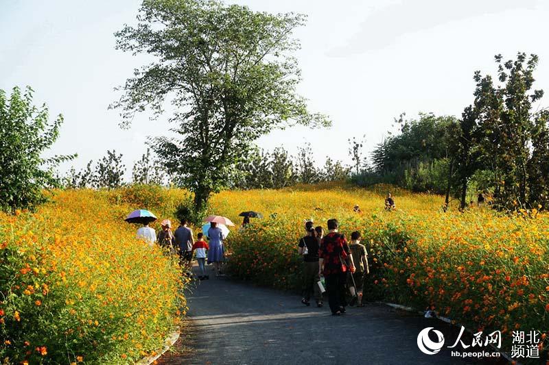 汉江生态旅游联体公园建成