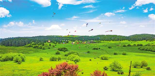 武隆加快建设世界知名旅游目的地_fororder_2022-04-29-005-300098-1