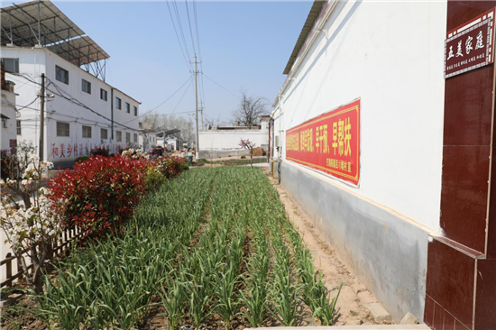 濮阳市台前县：干群同心齐上阵 人居环境展新颜_fororder_图片5