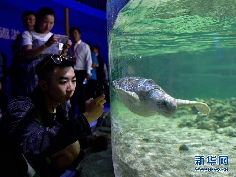 世界海拔最高的大型綜合海洋館在高原古城西寧開館