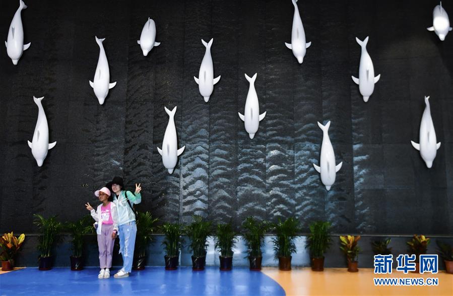 世界海拔最高的大型综合海洋馆在高原古城西宁开馆