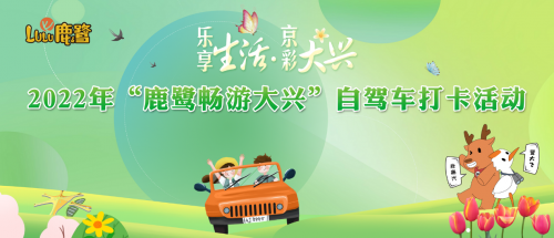 自驾车！和“鹿鹭”一起畅游大兴！