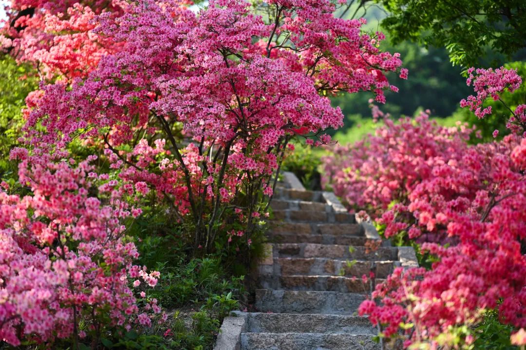 洛阳惠民消费季正式启动_fororder_640-2