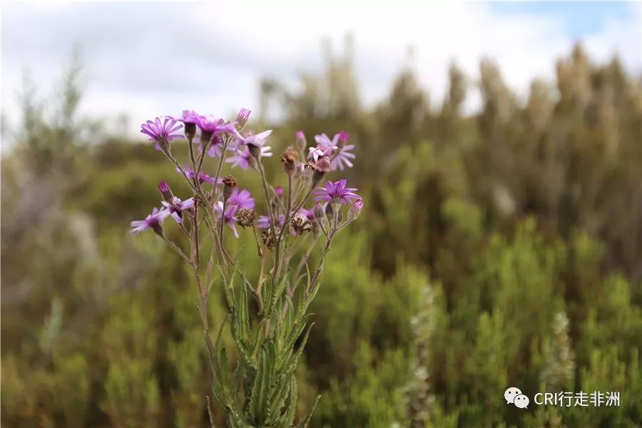 一次近乎鲁莽的攀爬非洲神山之旅