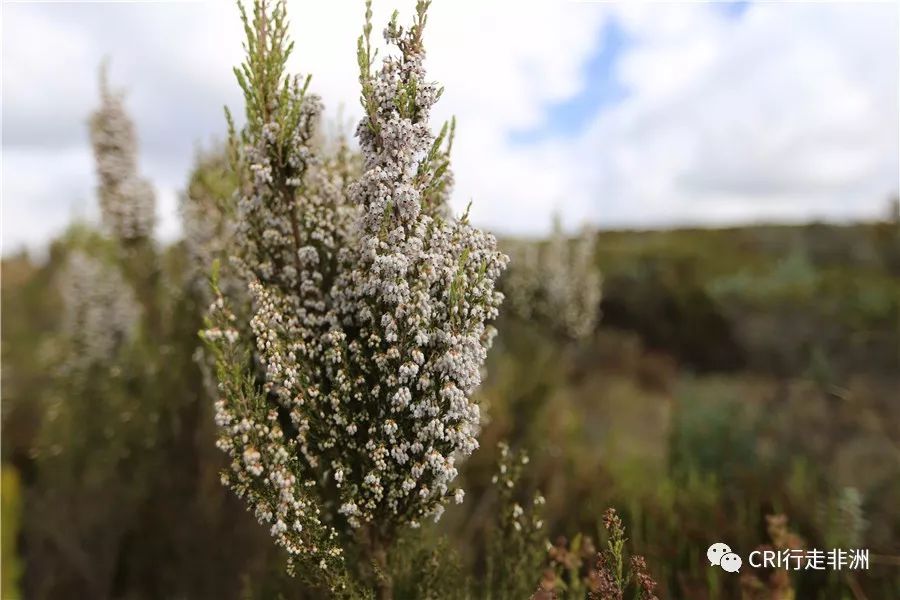 一次近乎鲁莽的攀爬非洲神山之旅