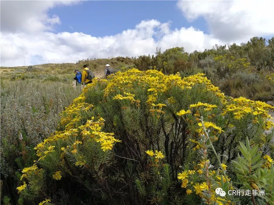 一次近乎鲁莽的攀爬非洲神山之旅