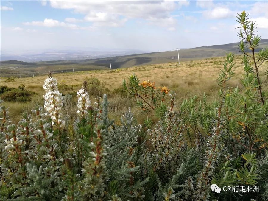 一次近乎鲁莽的攀爬非洲神山之旅