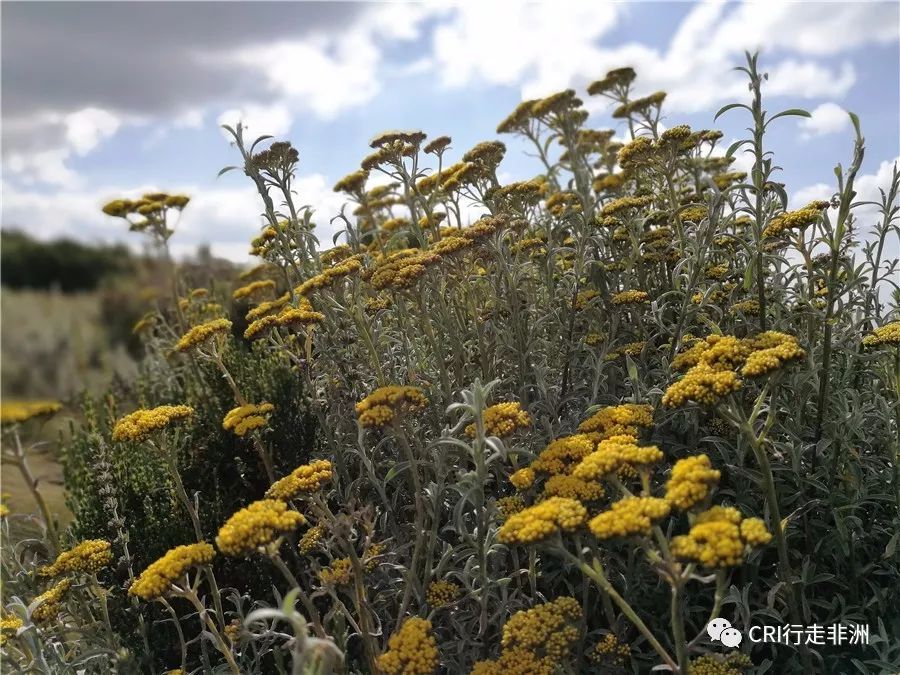 一次近乎鲁莽的攀爬非洲神山之旅
