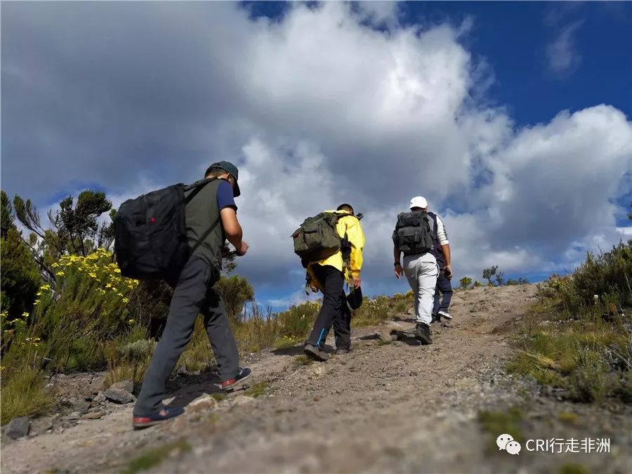 一次近乎鲁莽的攀爬非洲神山之旅