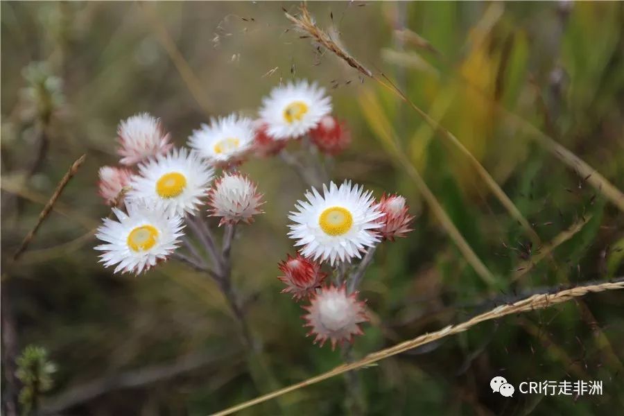 一次近乎鲁莽的攀爬非洲神山之旅