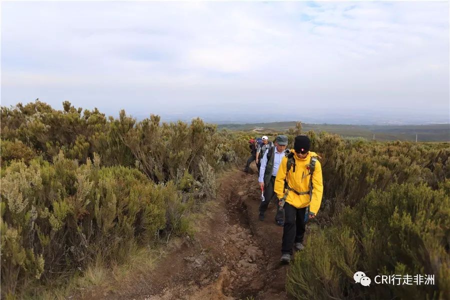 一次近乎鲁莽的攀爬非洲神山之旅
