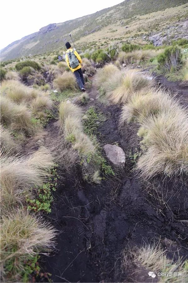 一次近乎鲁莽的攀爬非洲神山之旅