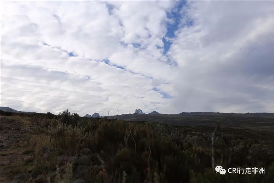 一次近乎鲁莽的攀爬非洲神山之旅