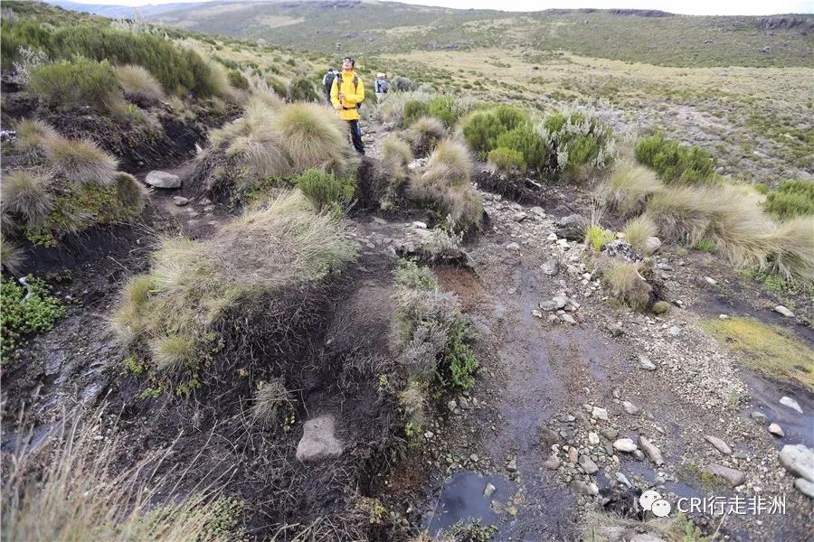 一次近乎鲁莽的攀爬非洲神山之旅