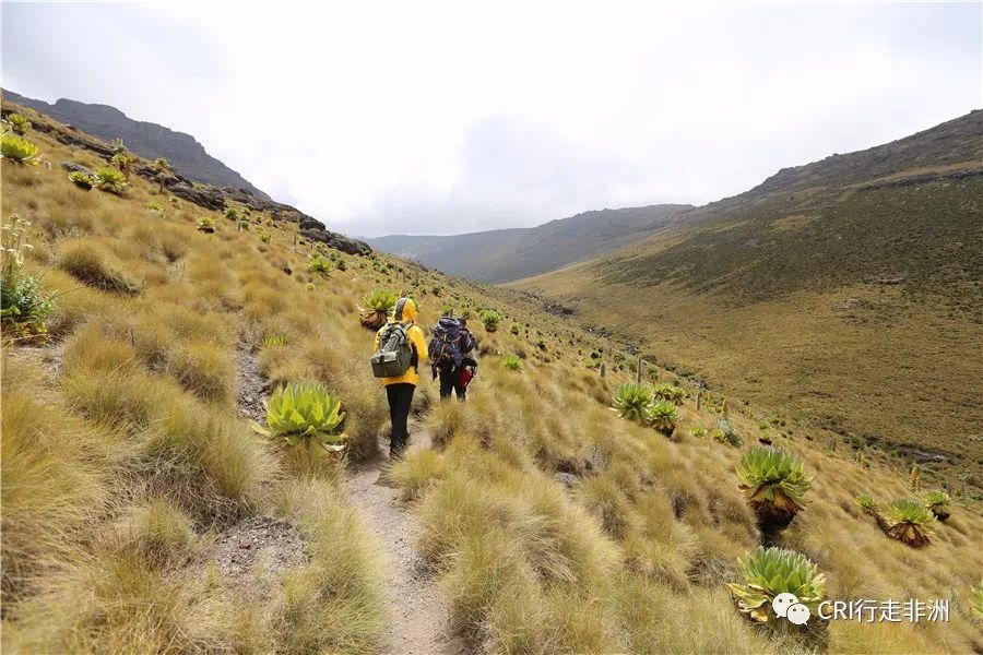 一次近乎鲁莽的攀爬非洲神山之旅