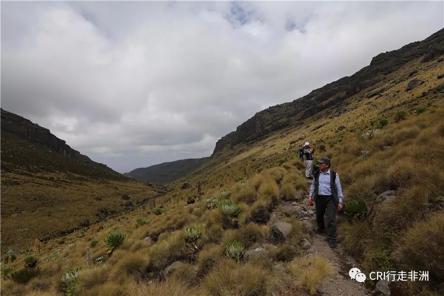 一次近乎鲁莽的攀爬非洲神山之旅