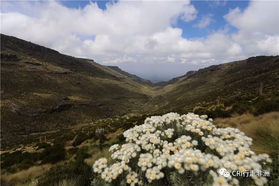 一次近乎鲁莽的攀爬非洲神山之旅