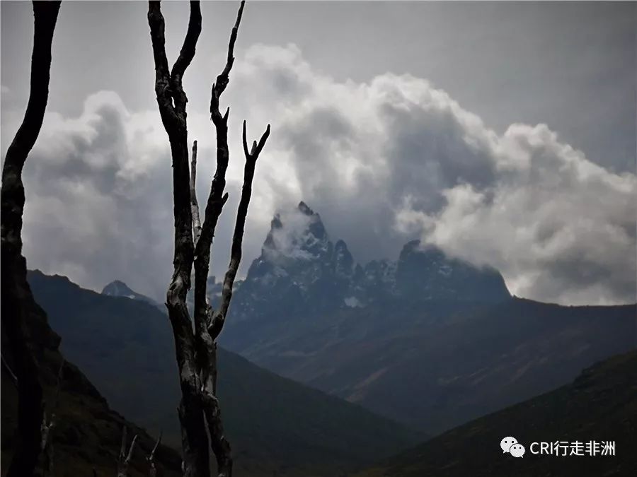 一次近乎鲁莽的攀爬非洲神山之旅