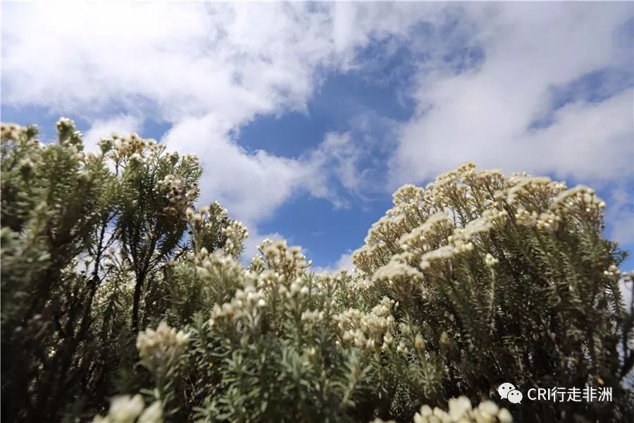 一次近乎鲁莽的攀爬非洲神山之旅