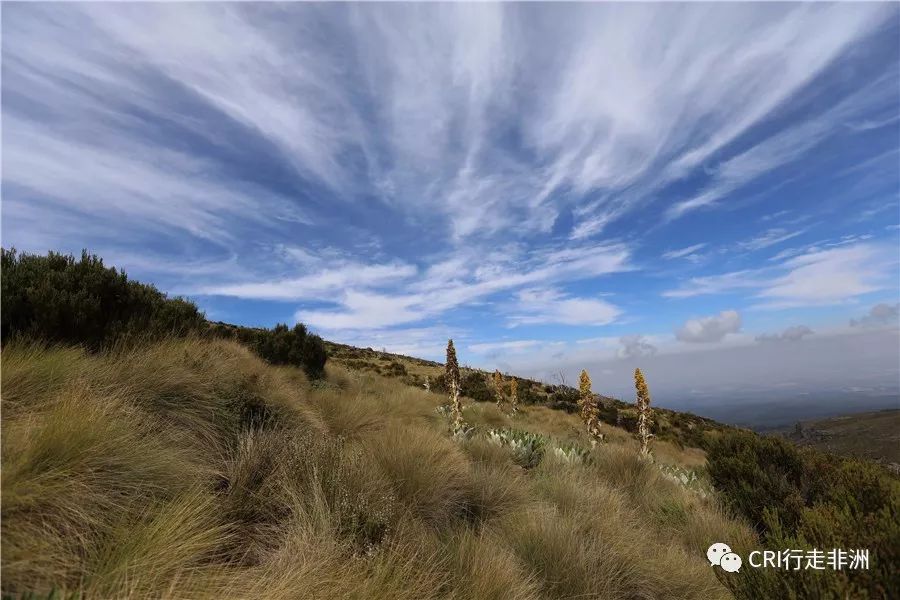 一次近乎鲁莽的攀爬非洲神山之旅