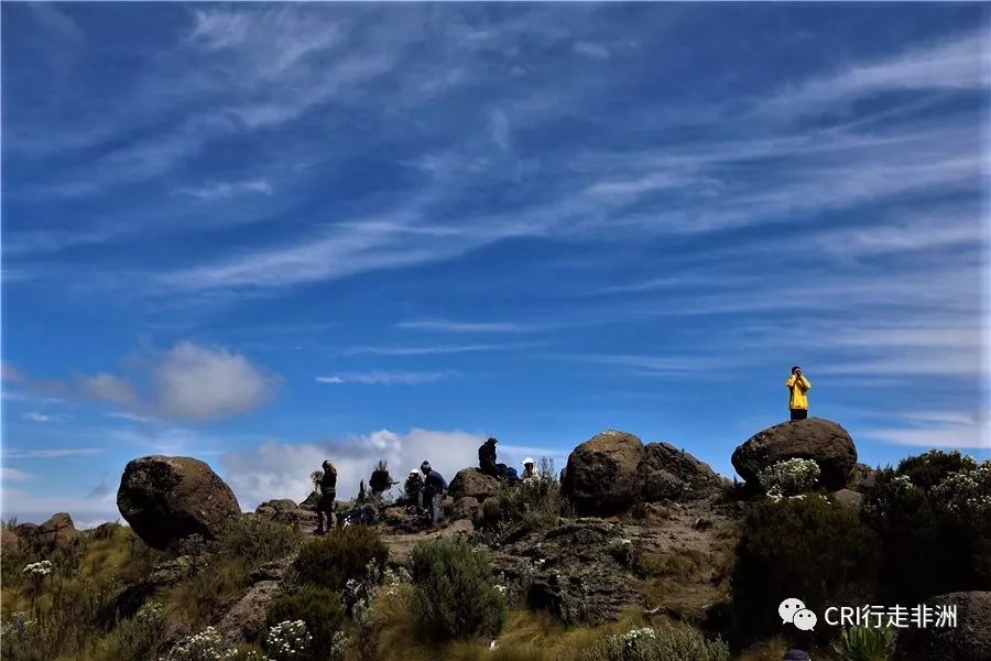 一次近乎鲁莽的攀爬非洲神山之旅