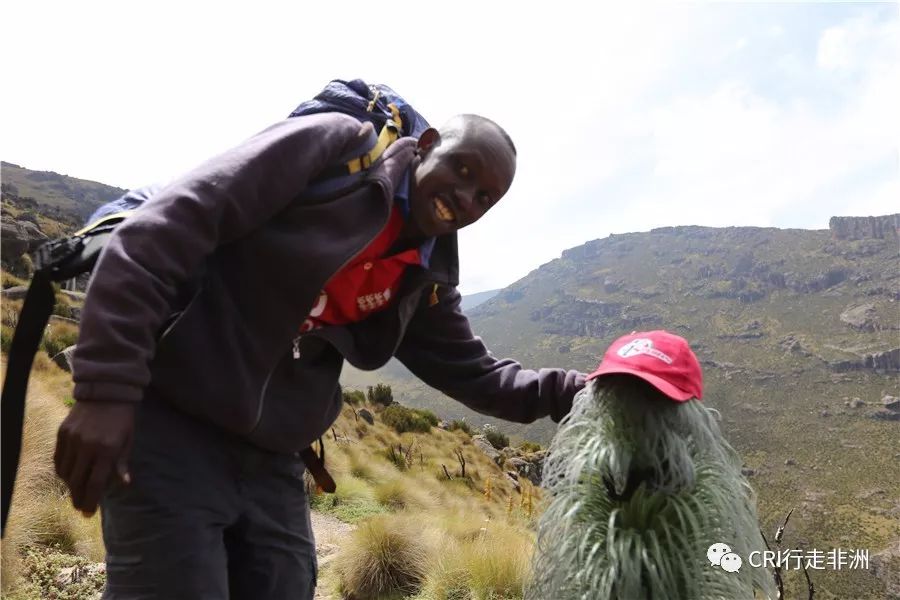 一次近乎鲁莽的攀爬非洲神山之旅