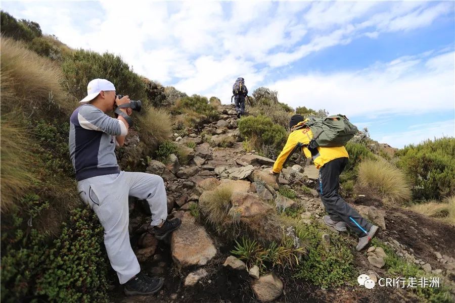 一次近乎鲁莽的攀爬非洲神山之旅