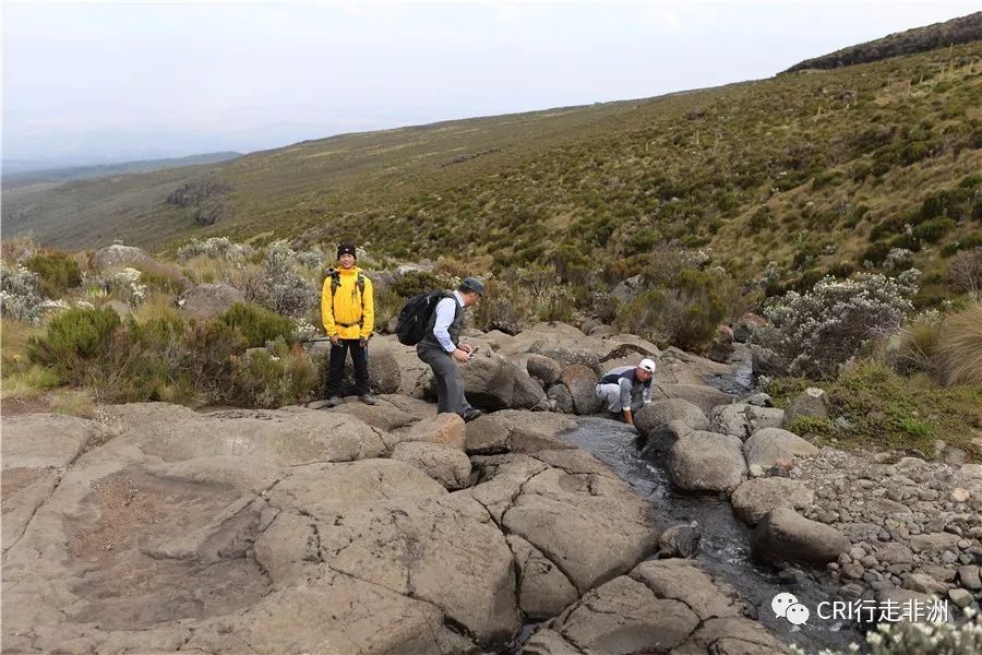 一次近乎鲁莽的攀爬非洲神山之旅