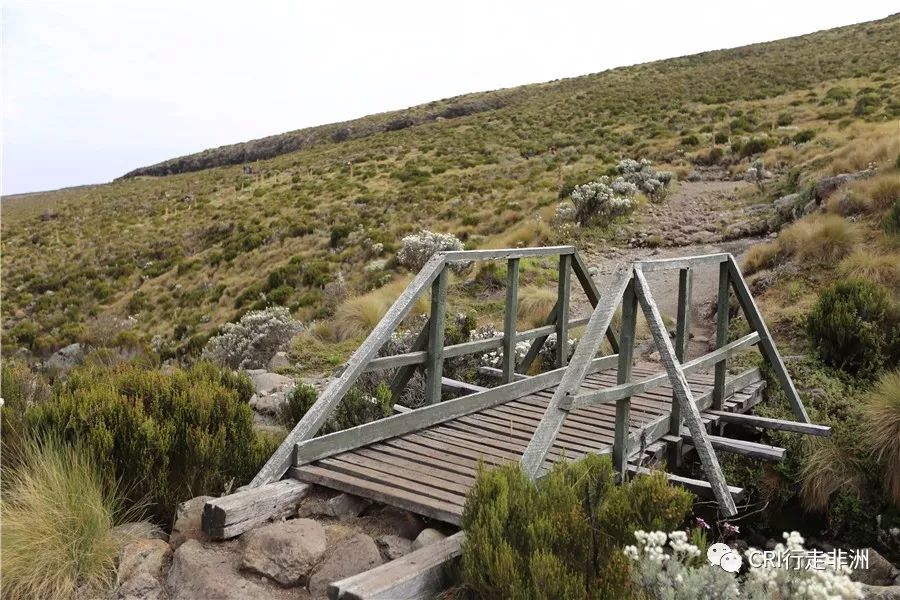 一次近乎鲁莽的攀爬非洲神山之旅