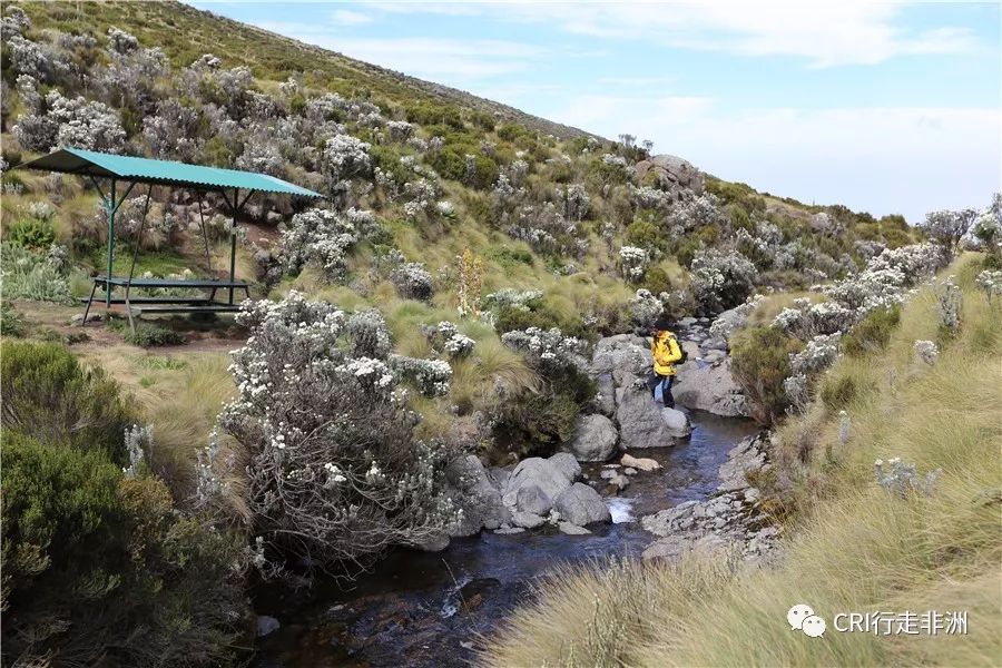 一次近乎鲁莽的攀爬非洲神山之旅