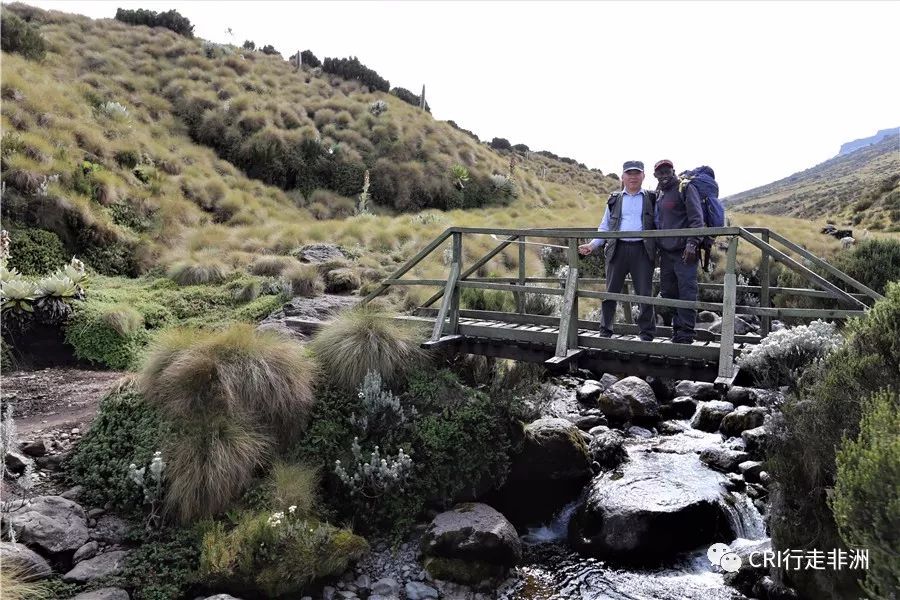 一次近乎鲁莽的攀爬非洲神山之旅