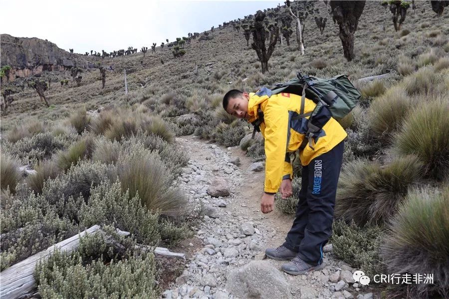一次近乎鲁莽的攀爬非洲神山之旅