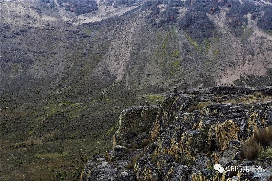 一次近乎鲁莽的攀爬非洲神山之旅