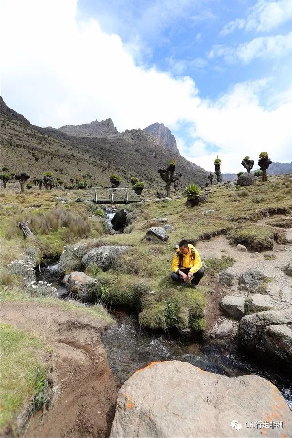 一次近乎鲁莽的攀爬非洲神山之旅