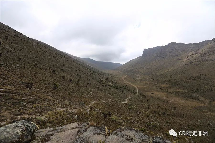 一次近乎鲁莽的攀爬非洲神山之旅