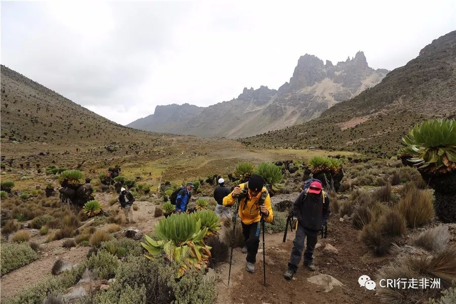 一次近乎鲁莽的攀爬非洲神山之旅