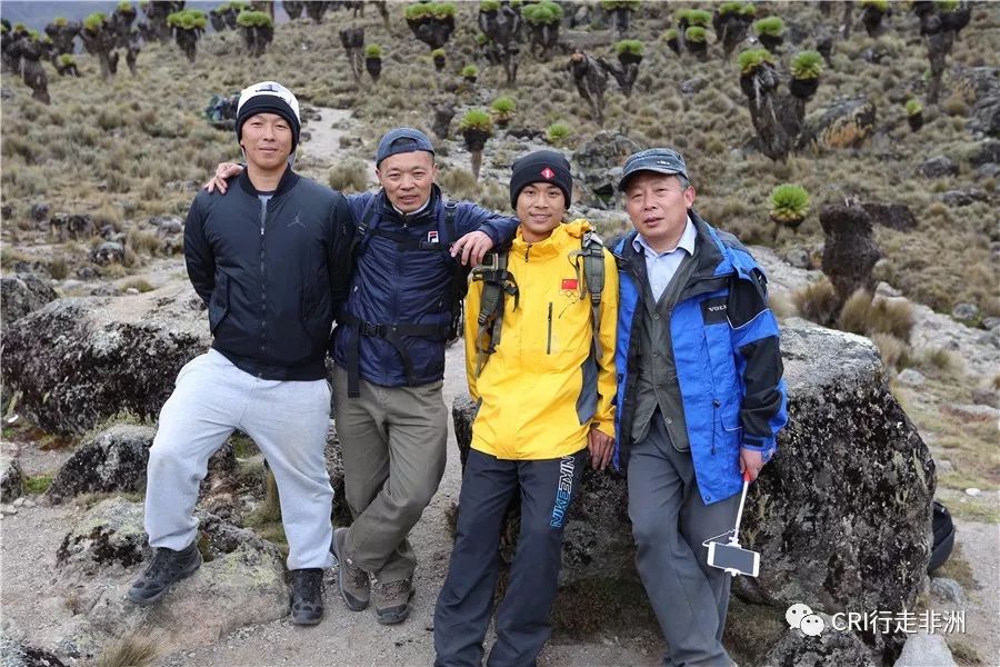 一次近乎鲁莽的攀爬非洲神山之旅