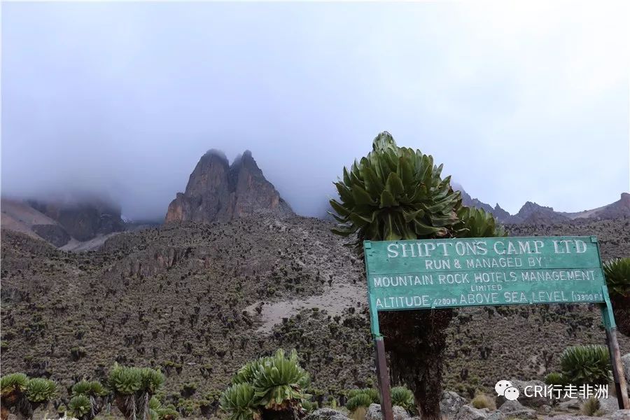 一次近乎鲁莽的攀爬非洲神山之旅