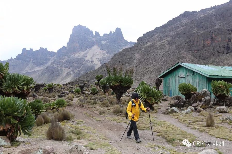 一次近乎鲁莽的攀爬非洲神山之旅