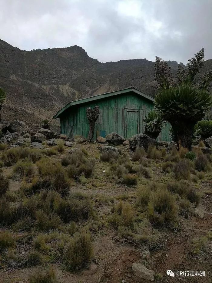 一次近乎鲁莽的攀爬非洲神山之旅
