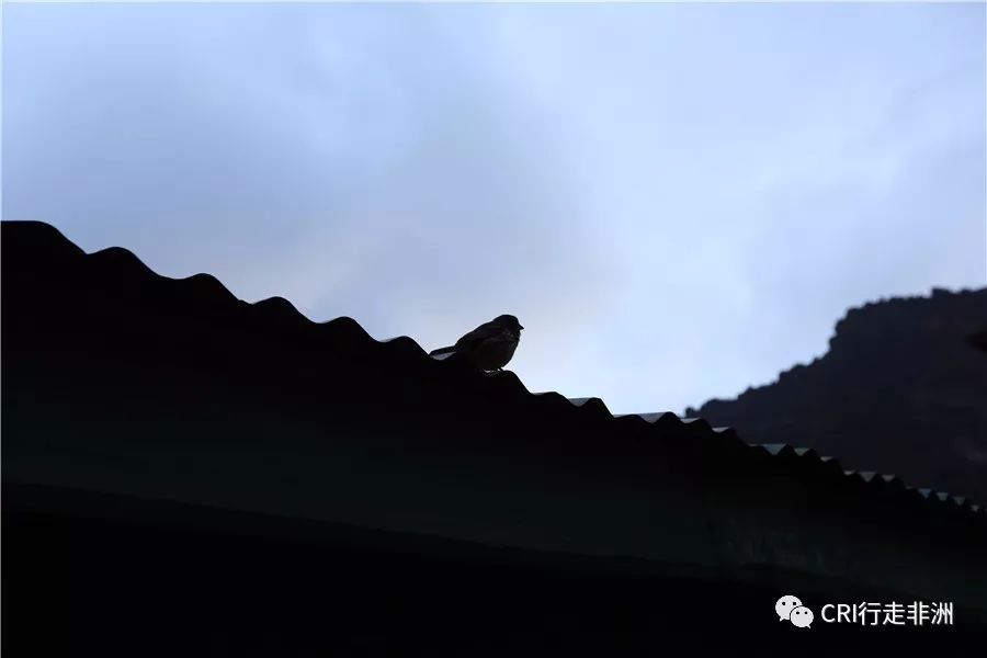 一次近乎鲁莽的攀爬非洲神山之旅