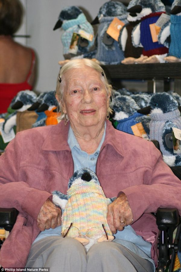 澳洲98岁老奶奶织千件毛衣保护企鹅免受石油污染