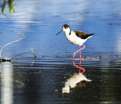 中国又一天然苏打水水源探测成功，有望打破国外天然苏打水垄断
