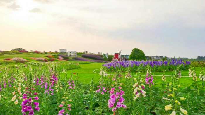 ​宝藏打卡地！成都空港花田发布五一家庭露营攻略