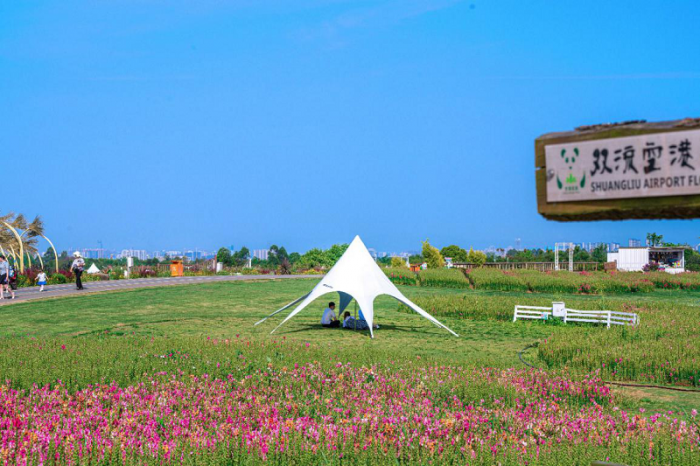 ​宝藏打卡地！成都空港花田发布五一家庭露营攻略