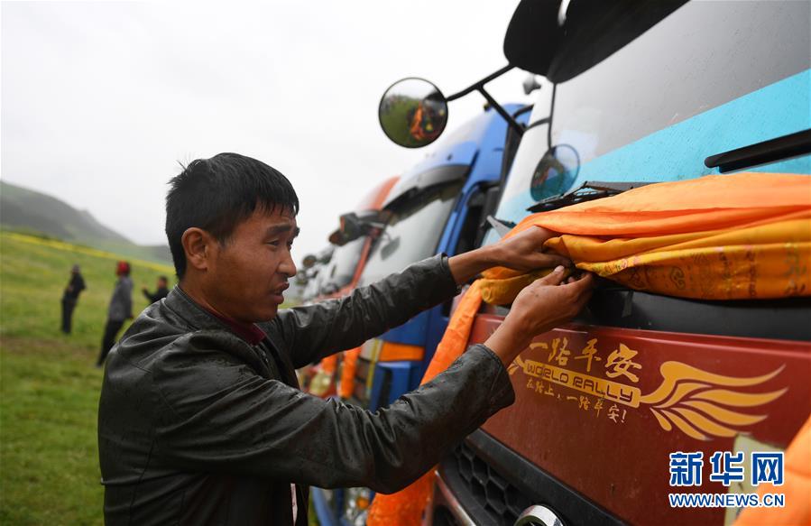 大通牦牛“嫁”入西藏